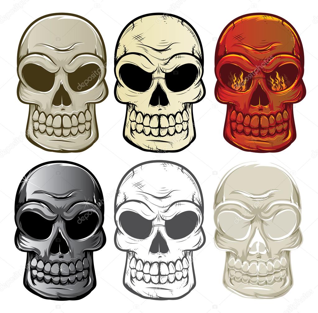 Skull Collection