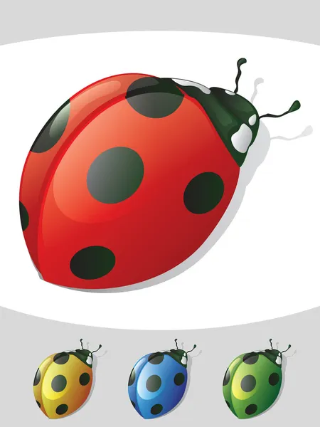 Lady Bug objetos isolados — Vetor de Stock