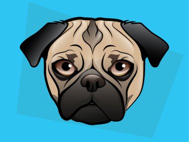 köpek resim koymak