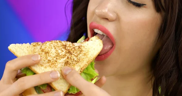Портрет брюнетки, поедающей сэндвич на обед. — стоковое фото