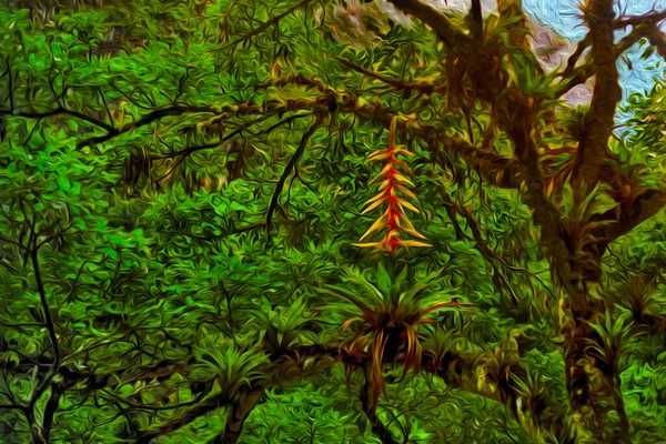 안데스의 우림에서이끼와 식물로 뒤덮인 가지들 미국에서 산맥입니다 페인트 여과기 — 스톡 사진