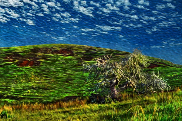 在复活节岛上的田野中央 一棵孤零零的树被灌木丛覆盖着 位于智利太平洋的一个世界遗产所在地 油漆过滤器 — 图库照片