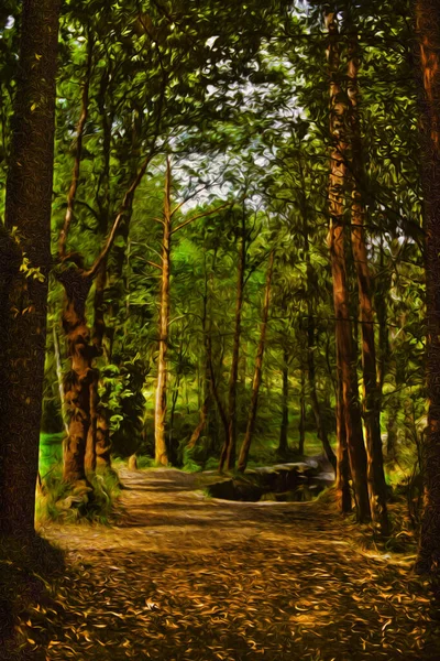 Dirt Pathway Shaded Tall Trees Grove Way James Pilgrimage Route — Stock Photo, Image