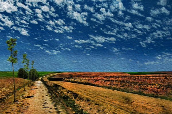 Vuile Weg Gaat Door Vlak Landschap Weg Van James Een — Stockfoto