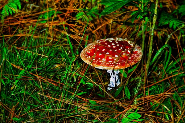 Grote Rode Paddenstoel Midden Van Een Struik Een Bos Van — Stockfoto