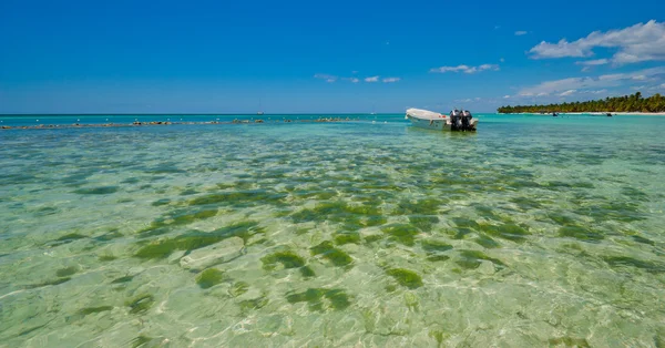 República Dominicana — Foto de Stock