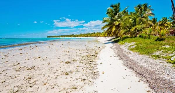 多米尼加共和国 — 图库照片