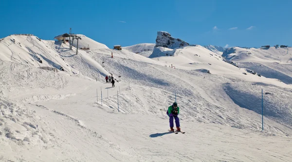 Fransız alps