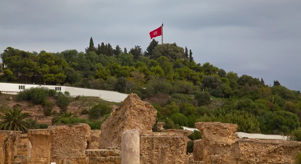 Rovine della tunisia — Foto Stock