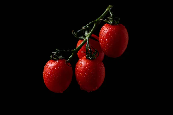 Cherry Tomatoes Branch Black Background Water Drops Tomatoes — Zdjęcie stockowe