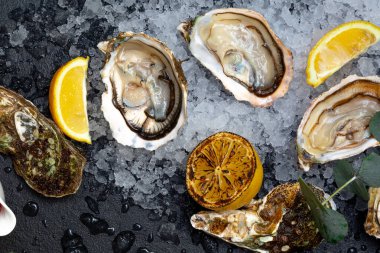 Deniz lezzeti açık istiridyeler koyu bir arka planda buzun üzerine serilmiş. Arka plan okaliptüs dalları, limon, kapalı istiridye ve sos ile süslenmiştir..