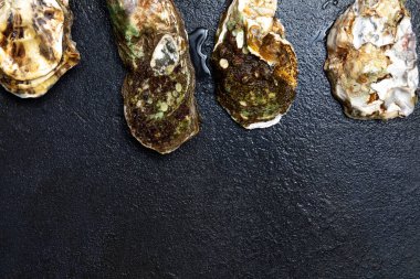 Deniz lezzeti. Kapalı taze istiridyeler koyu bir arka planda serilir..