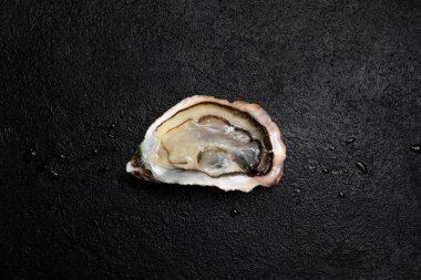 Deniz lezzeti, açık taze istiridyeler koyu bir arka planda serilir..