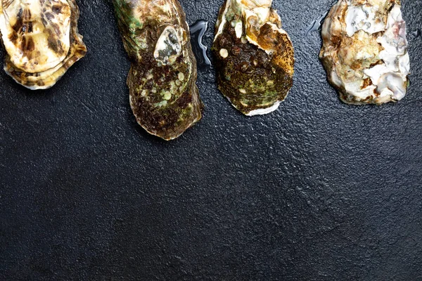 Zee Delicatesse Vers Gesloten Oesters Zijn Gelegd Een Donkere Achtergrond — Stockfoto