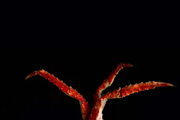 Краб Фаланга Морской Деликатес Темном Фоне Большие Красные Камчатские Крабовые — стоковое фото