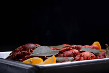 Bira için lezzet, limonlu haşlanmış kırmızı kerevit ve körfez yapraklı.