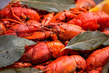 Bira için lezzet, limonlu haşlanmış kırmızı kerevit ve körfez yapraklı.