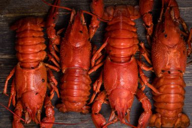 Bira için lezzet, limonlu haşlanmış kırmızı kerevit ve körfez yapraklı.