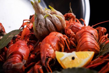 Bira için lezzet, limonlu haşlanmış kırmızı kerevit ve körfez yapraklı.