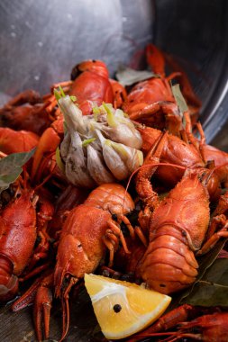 Bira için lezzet, limonlu haşlanmış kırmızı kerevit ve körfez yapraklı.