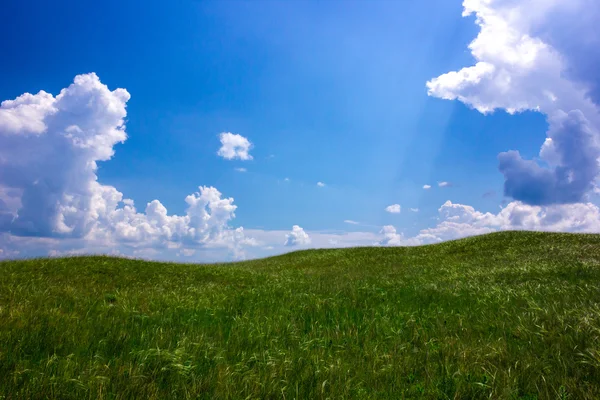 Grassy field with cloudy sky Stock Photo