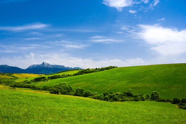 Sommerlandschaft mit hohen Bergen — Stockfoto