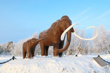 NADYM, RUSSIA-JANUARY 24, 2022: Kuzey Sibirya 'da kışın bir mamut ve bebek mamutun heykel bileşimi