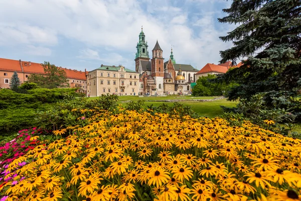 Wawel - Krakov — Stok fotoğraf