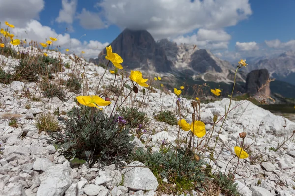 Dolomiten — Stockfoto