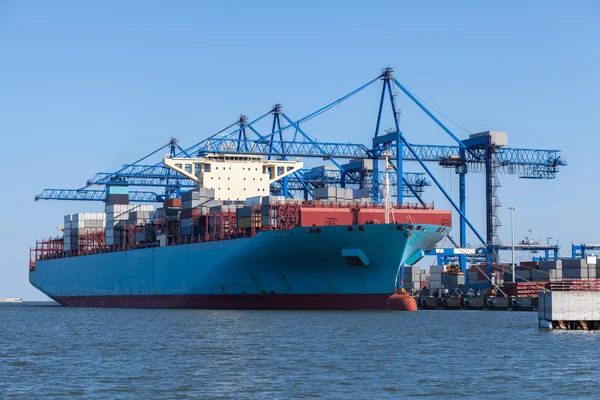 Container ship in terminal — Stock Photo, Image