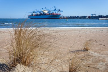 konteyner gemisi Terminal