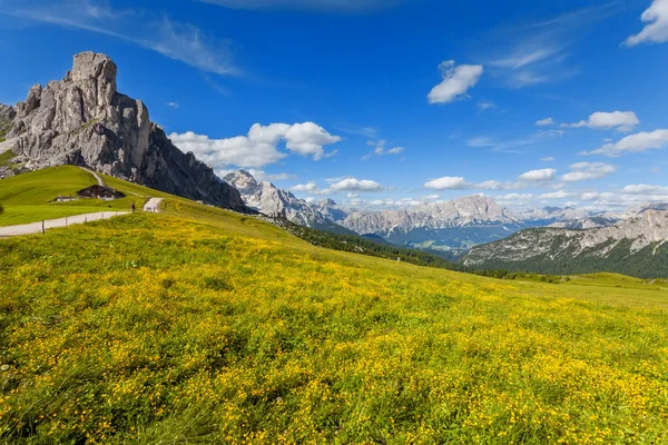 Mountain landscape with flowers. — Stock Photo, Image