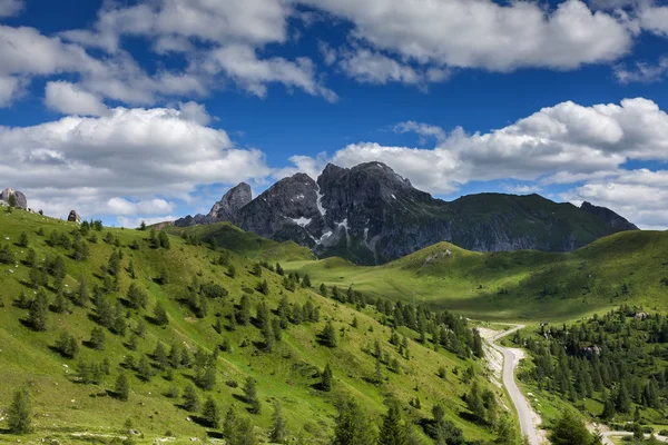 Dolomieten berg in de zomer — Stockfoto