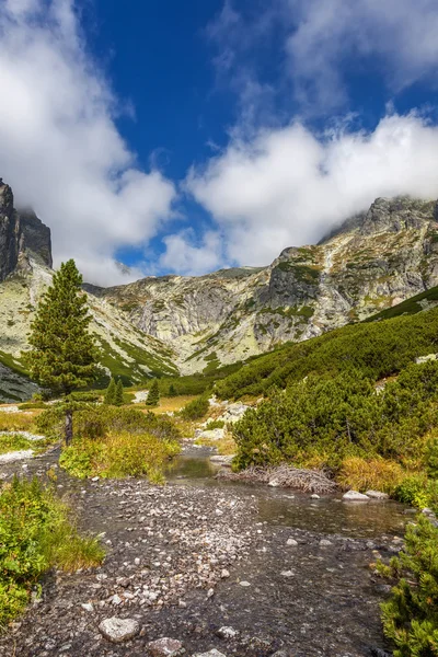 Les monts Tatra — Photo