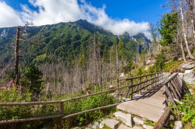 Beautiful trail in the Tatra Mountains