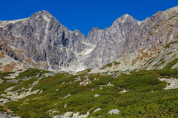 Belle vue dans les montagnes Tatra — Photo