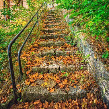 eski, fazla gelişmiş bitki örtüsü, granit merdivenleri
