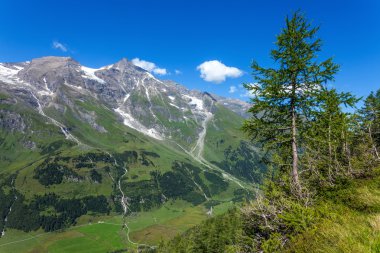 Hohe tauern Milli Parkı - Avusturya