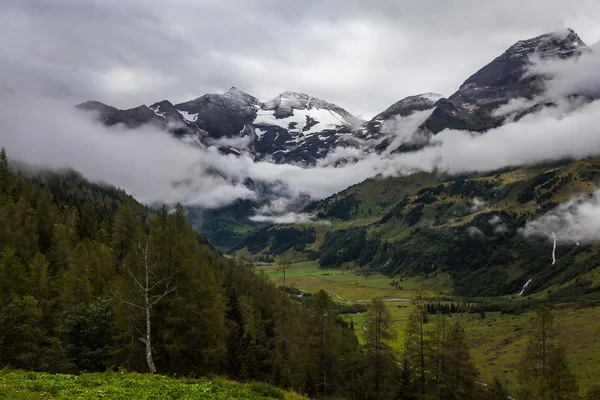 Alpine gletsjer en toppen van de bergen in de wolken — Stockfoto