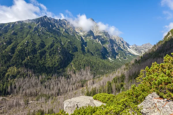 Bela vista nas Montanhas Tatra — Fotografia de Stock