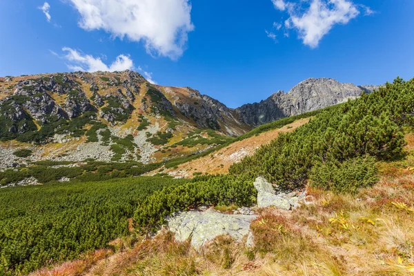 美丽的景色在塔特拉山 — 图库照片