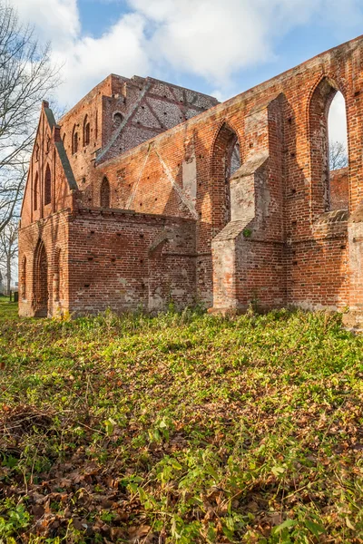 Ruinerna av gotisk kyrka från ett rött tegel — Stockfoto