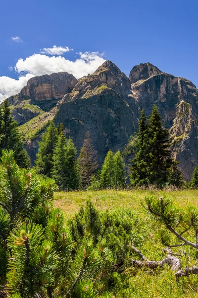 Sommar i Dolomiterna - Italien — Stockfoto