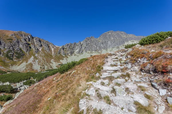 Bela trilha nas Montanhas Tatra — Fotografia de Stock