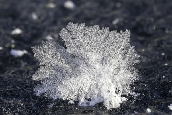 Creations the cold weather - macro landscape — Stock Photo, Image