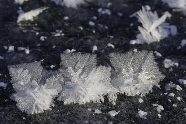 Creations the cold weather - macro landscape — Stock Photo, Image