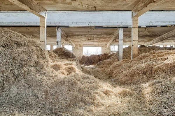 Old, abandoned and forgotten barn — Stock Photo, Image