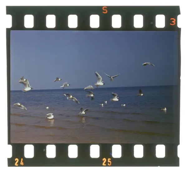 Marco de película grunge, vista al mar — Foto de Stock