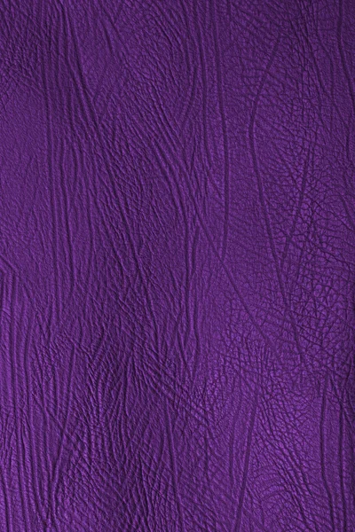 Violet huidtextuur — Stockfoto