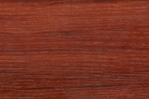 parlaklaştırılmış ahşap doku